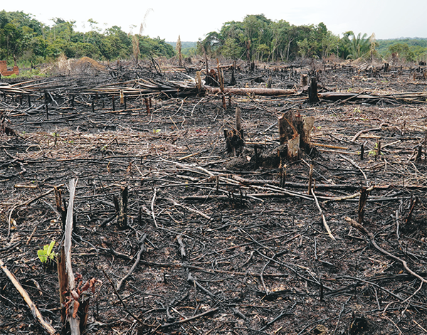 環境問題対応製品ゾーンのイメージ画像