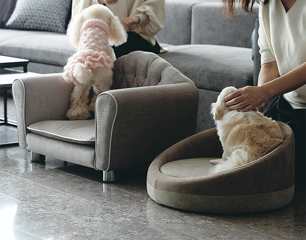 ペット向け家具インテリアゾーンのイメージ画像